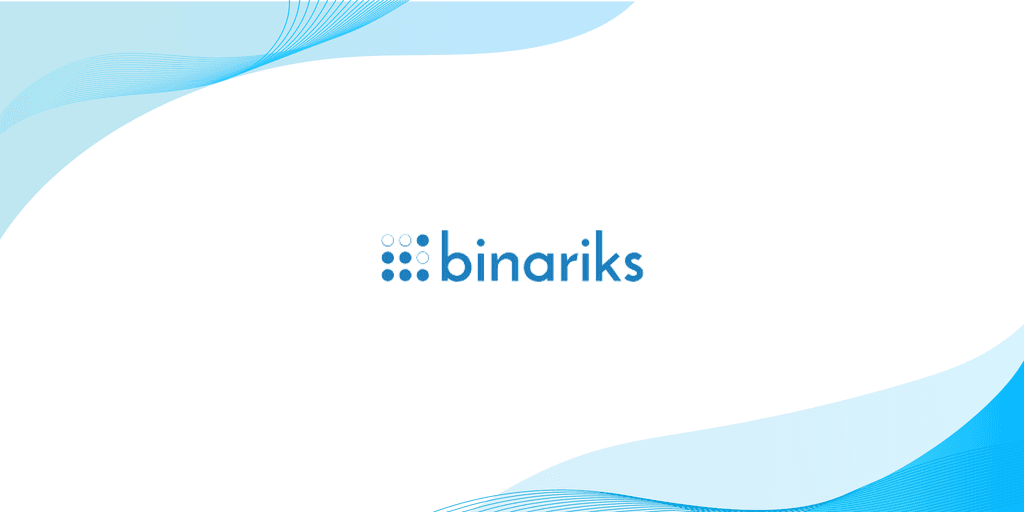 Logo of Binariks