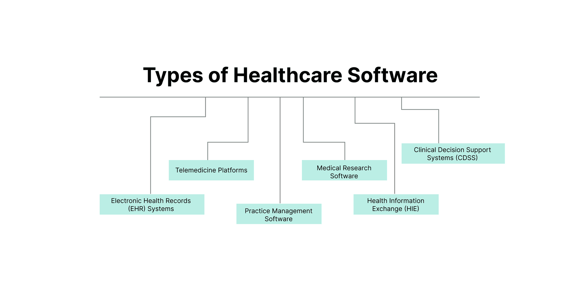 Types of healthcare software