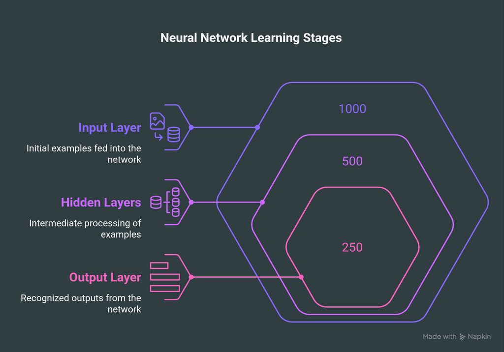 How Do Neural Networks Learn